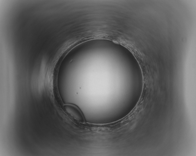 X0000102380242200808081143