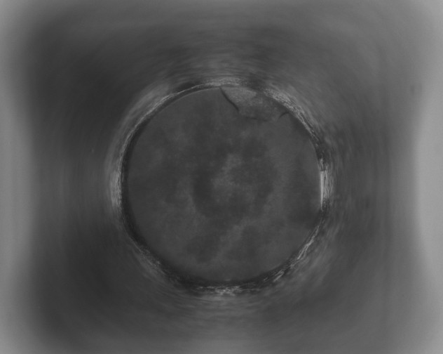 X0000102380243200808081143