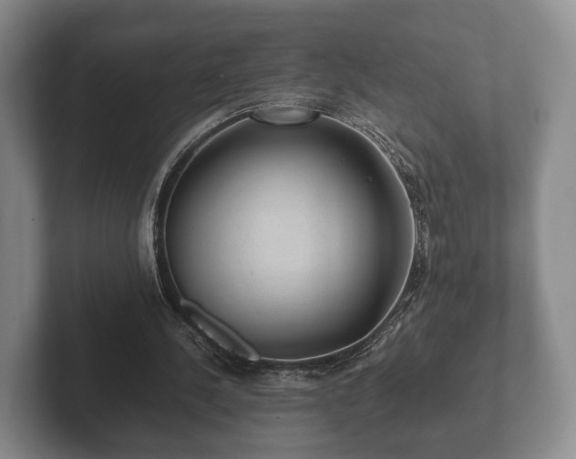 X0000102380244200808081143