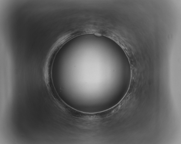 X0000102380245200808081143