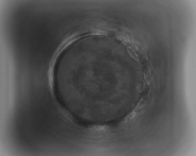 X0000102380247200808081143