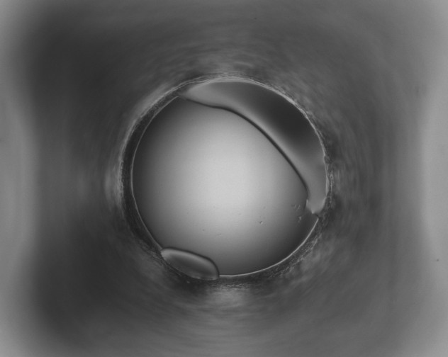 X0000102380248200808081143