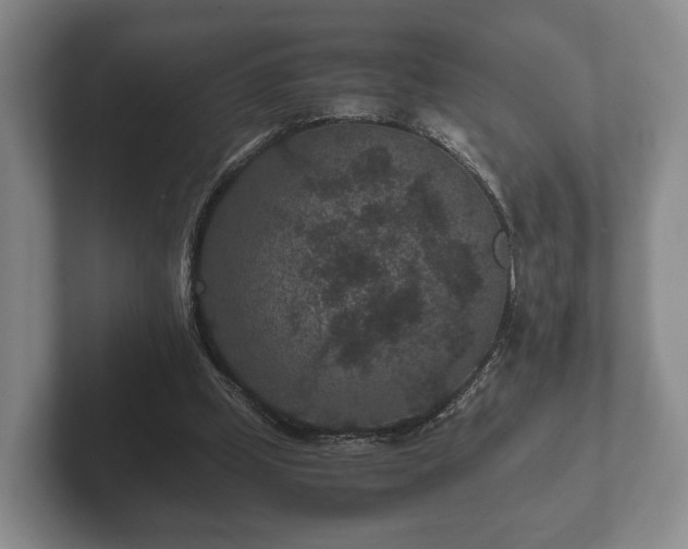 X0000102380249200808081143