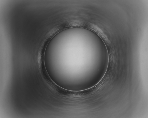 X0000102380250200808081143