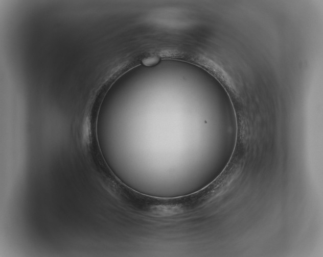 X0000102380251200808081143