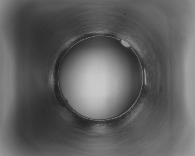 X0000102380252200808081143