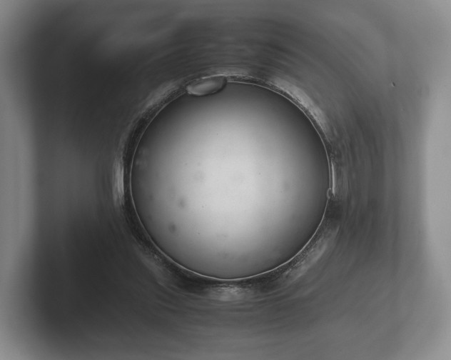 X0000102380253200808081143