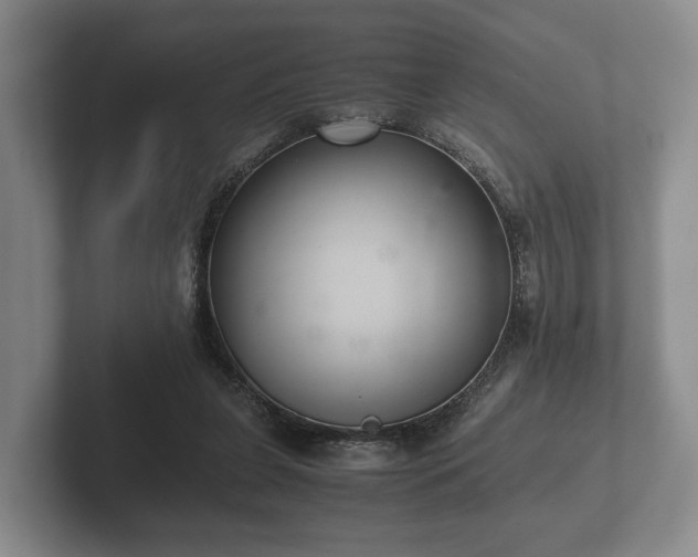 X0000102380255200808081143