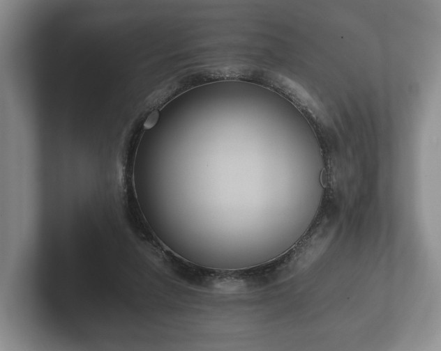 X0000102380258200808081143