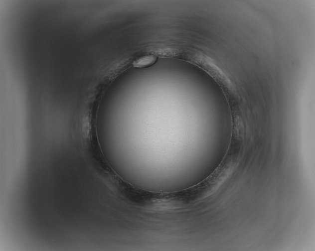 X0000102380259200808081143