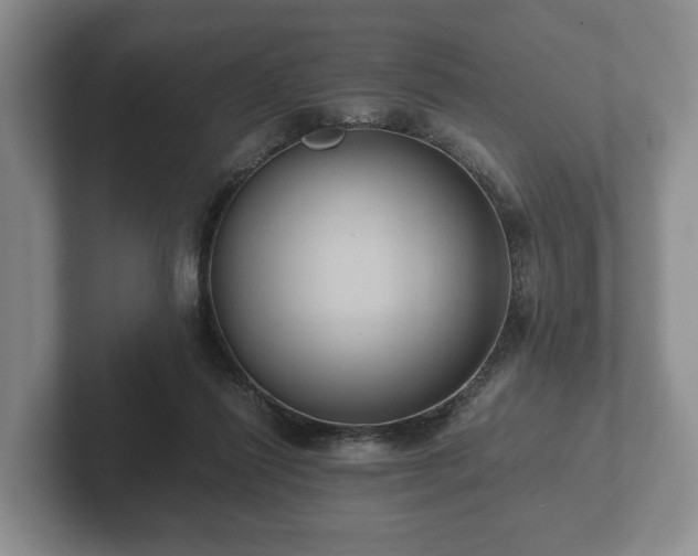 X0000102380262200808081143