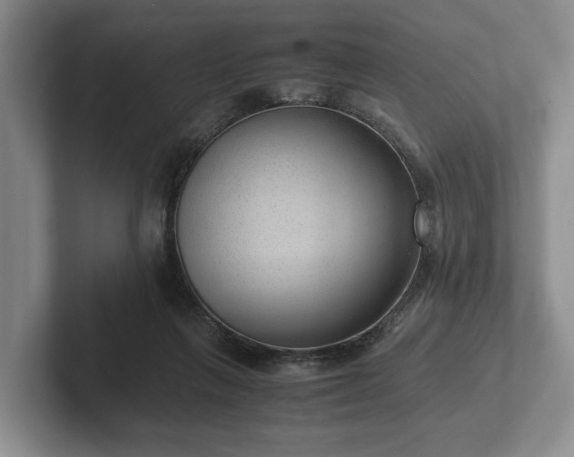 X0000102380263200808081143