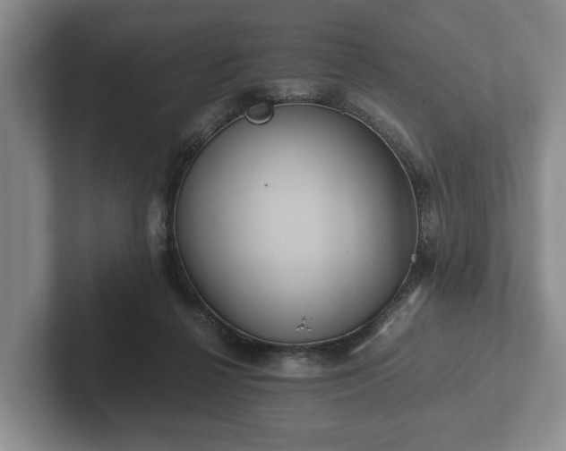 X0000102380264200808081143