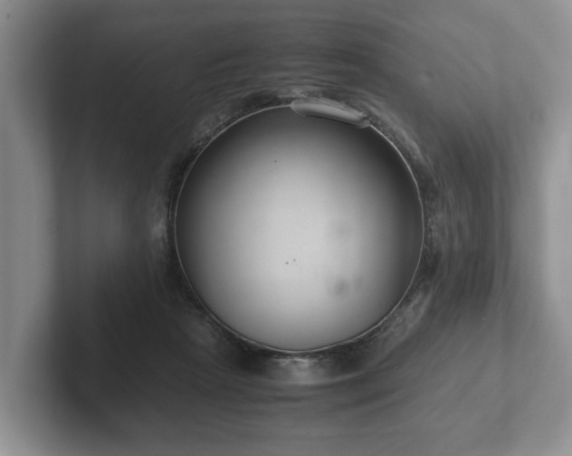 X0000102380265200808081143