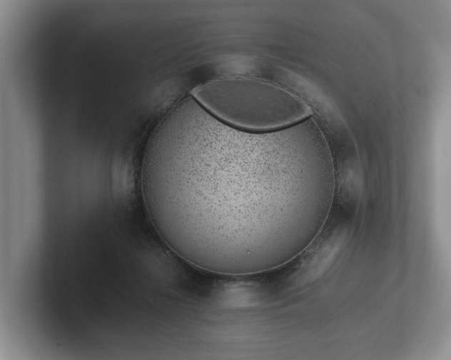 X0000102380268200808081143