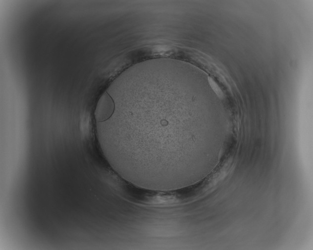 X0000102380270200808081143