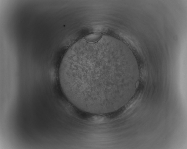 X0000102380272200808081143