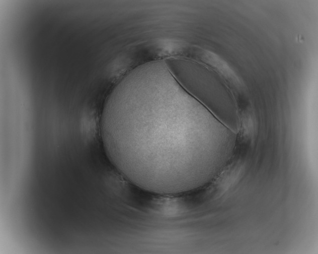 X0000102380276200808081144