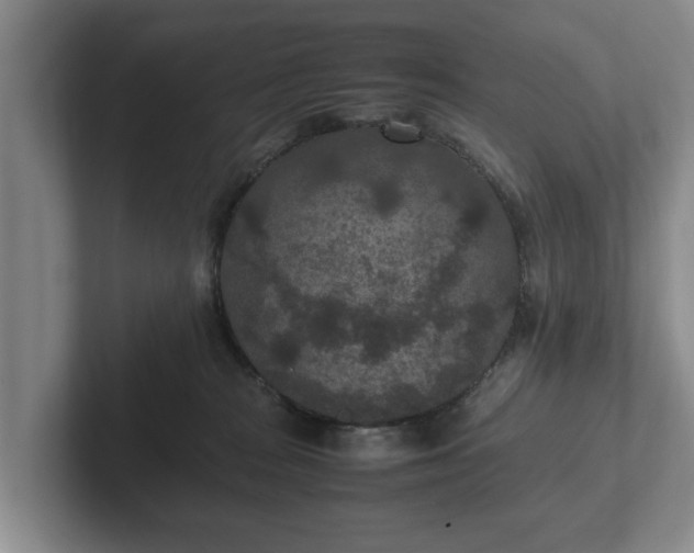 X0000102380277200808081144