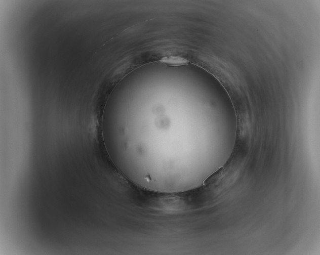 X0000102380279200808081144