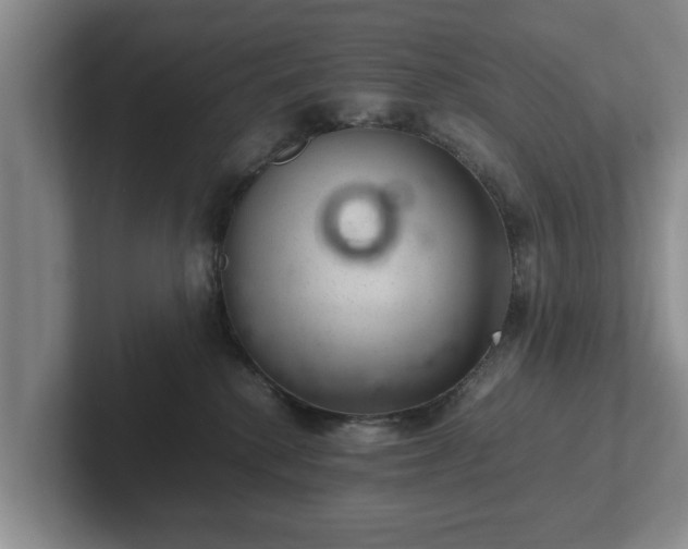 X0000102380280200808081144