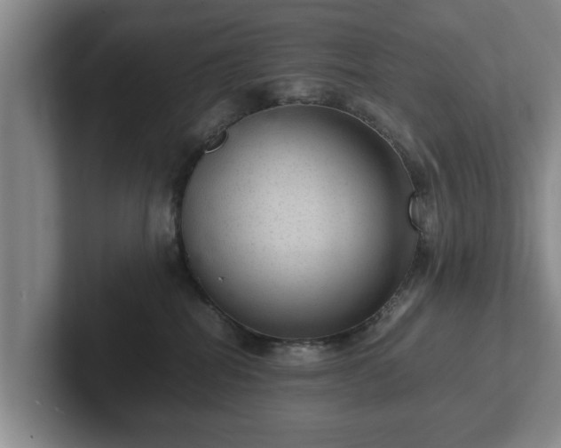 X0000102380282200808081144