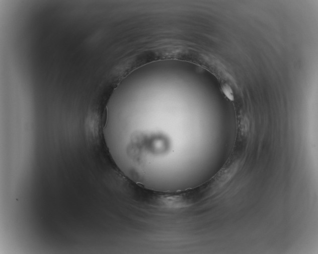 X0000102380283200808081144