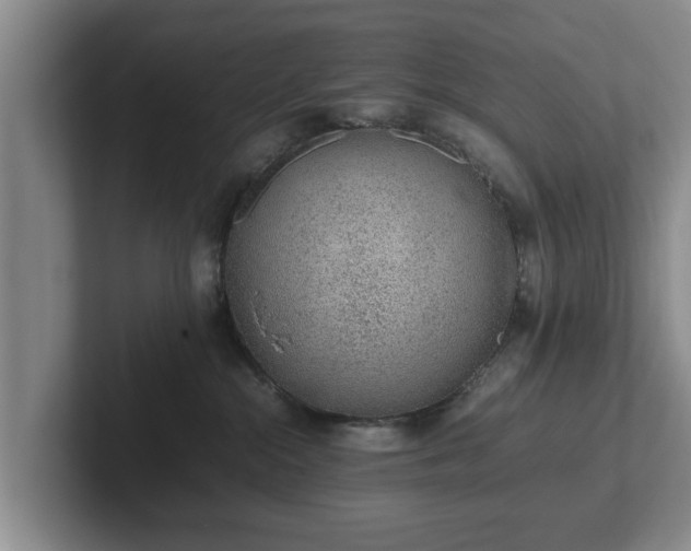 X0000102380284200808081144