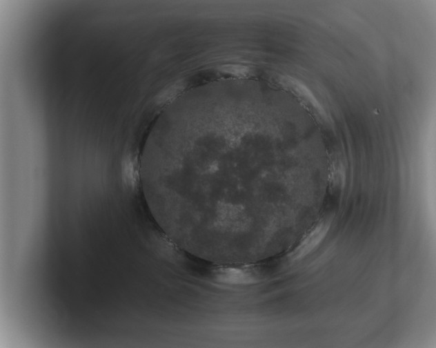 X0000102380285200808081144