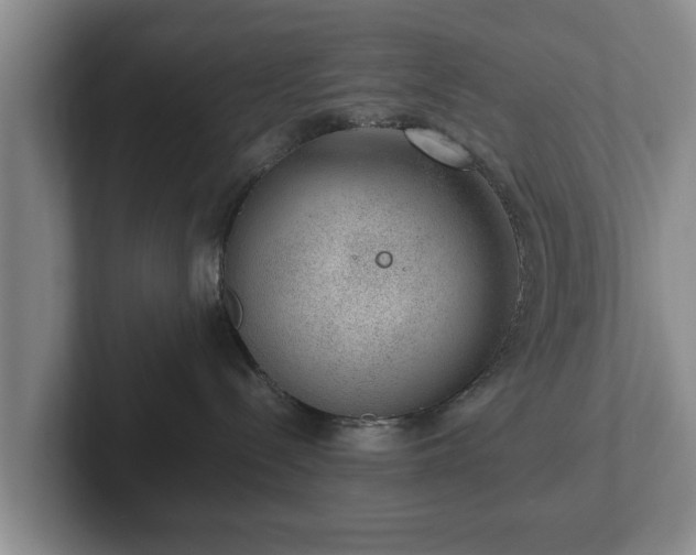 X0000102380288200808081144