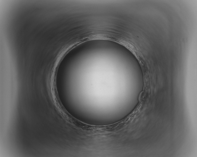 X0000102380289200808081143