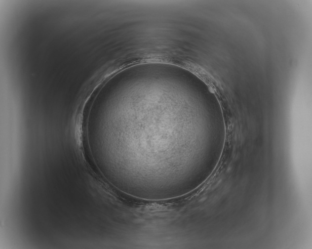 X0000102380290200808081143