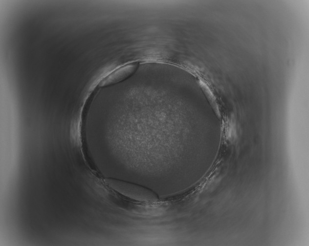 X0000102380292200808081143