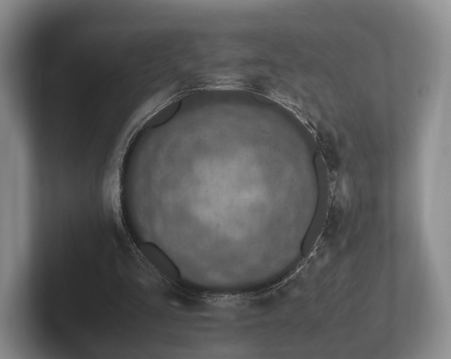 X0000102380293200808081143