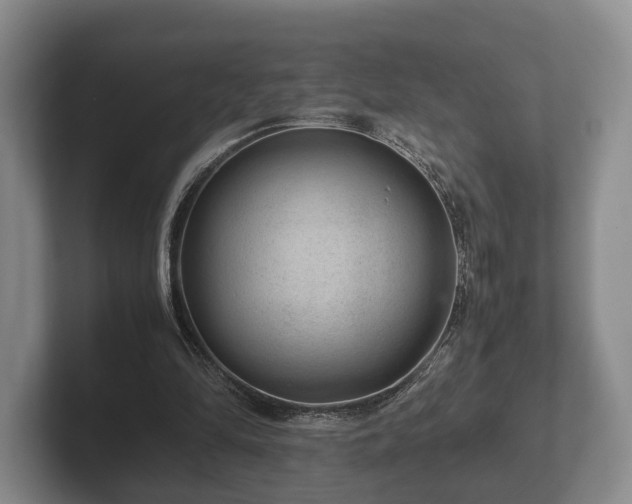 X0000102380294200808081143