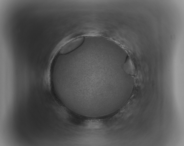 X0000102380296200808081143