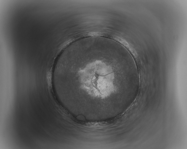 X0000102380297200808081143