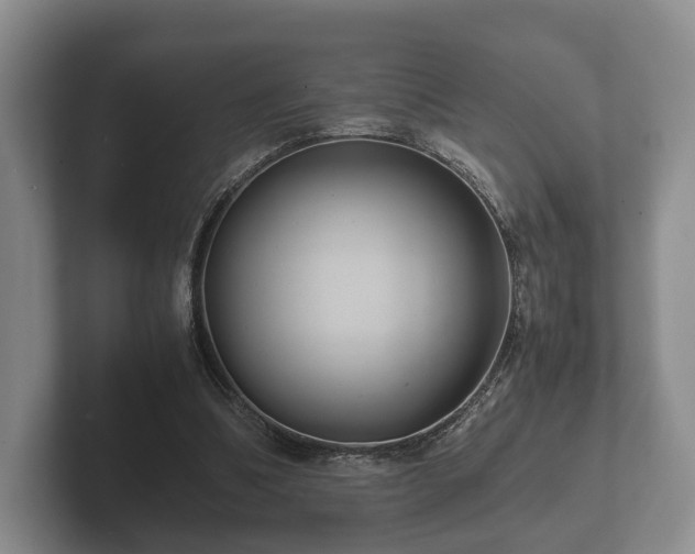 X0000102380298200808081143