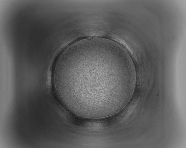 X0000102380299200808081143