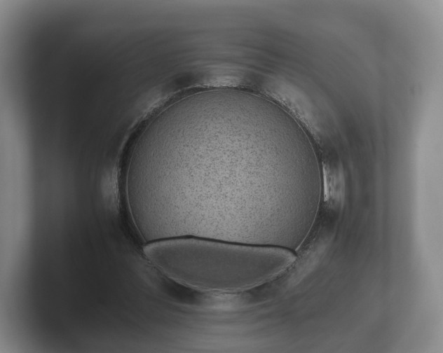 X0000102380300200808081143