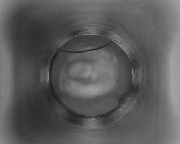 X0000102380301200808081143