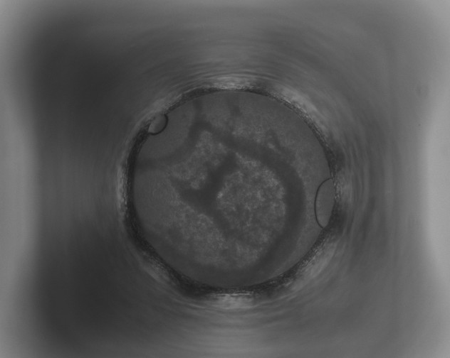 X0000102380303200808081143