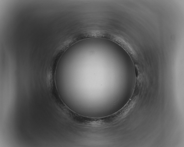 X0000102380306200808081143