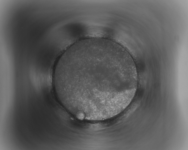 X0000102380309200808081143