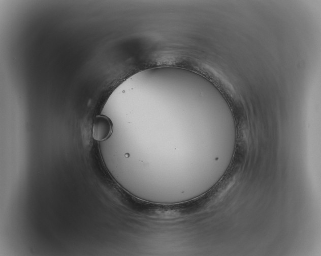 X0000102380311200808081143