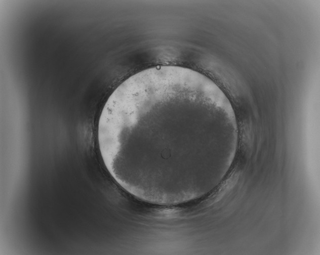 X0000102380313200808081143