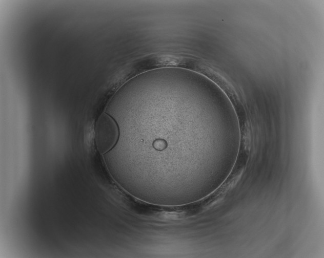 X0000102380314200808081143