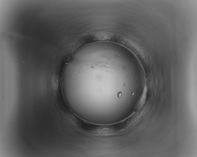 X0000102380315200808081143