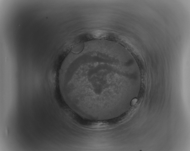 X0000102380319200808081143