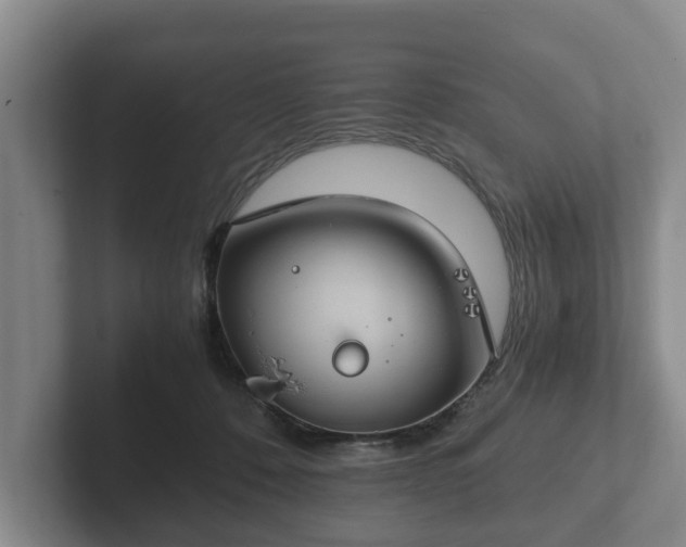 X0000102380320200808081142